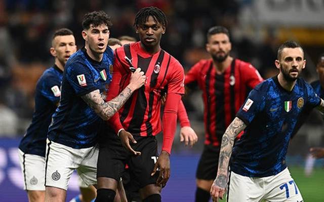 帽子戏法拯救球队！外媒：都柏林博物馆将只鹦鹉以帕洛特命名（戴帽救主！外媒：都柏林博物馆拟以帕洛特命名一只鹦鹉）